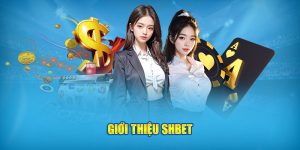 Giới thiệu về nhà cái shbet