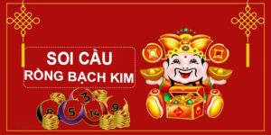 Thông tin soi cầu rồng bạch kim666