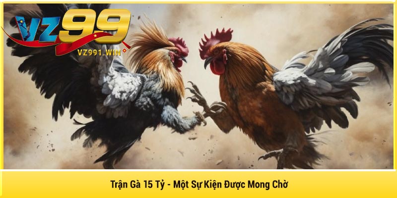 Trận Gà 15 Tỷ – Một Sự Kiện Được Mong Chờ